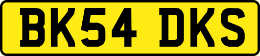 BK54DKS