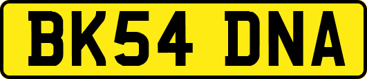 BK54DNA