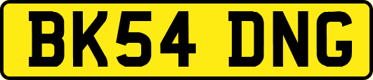 BK54DNG