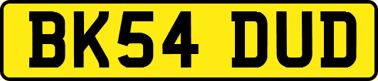 BK54DUD