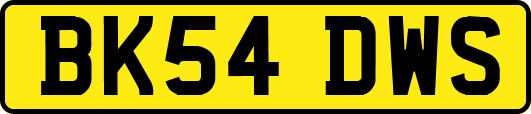 BK54DWS