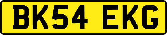 BK54EKG
