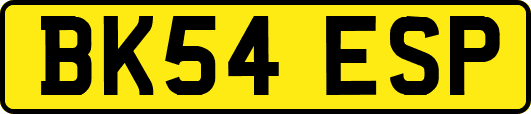 BK54ESP