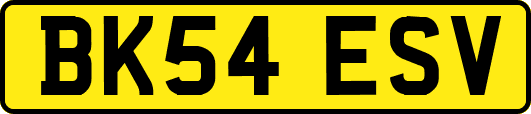 BK54ESV