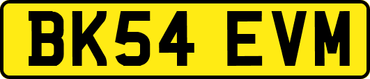 BK54EVM