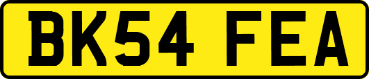 BK54FEA