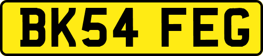 BK54FEG