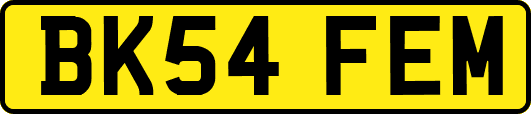 BK54FEM