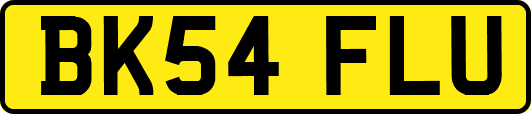 BK54FLU