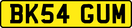 BK54GUM