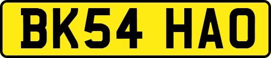 BK54HAO