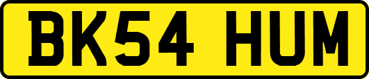 BK54HUM