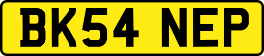 BK54NEP