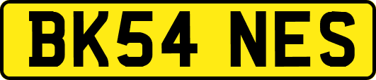 BK54NES