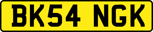 BK54NGK