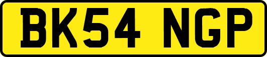 BK54NGP