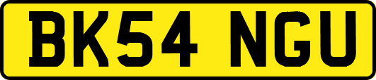 BK54NGU