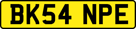 BK54NPE
