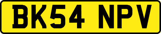 BK54NPV