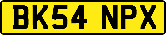 BK54NPX