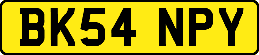 BK54NPY
