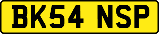BK54NSP