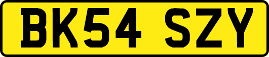 BK54SZY