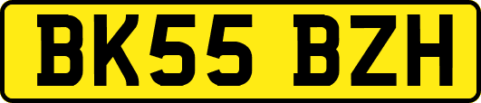 BK55BZH