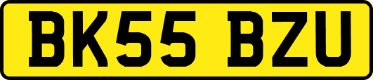BK55BZU