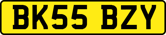 BK55BZY