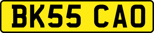 BK55CAO