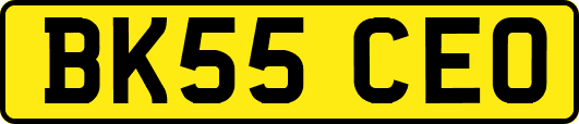 BK55CEO