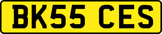 BK55CES