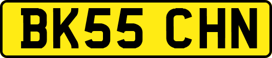 BK55CHN