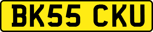 BK55CKU