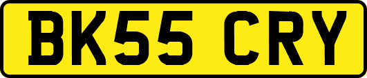 BK55CRY
