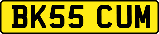 BK55CUM