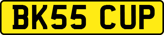 BK55CUP