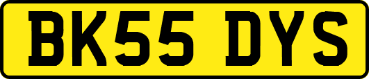 BK55DYS