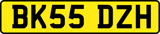BK55DZH