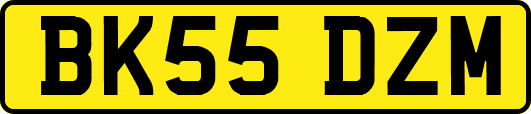 BK55DZM