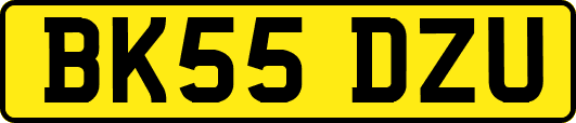 BK55DZU
