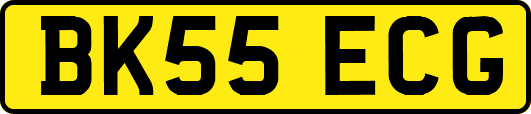 BK55ECG