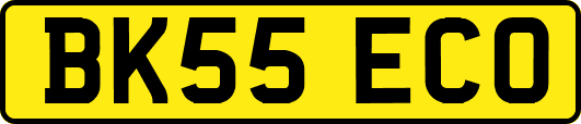 BK55ECO