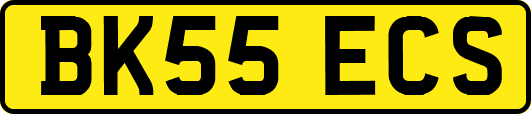 BK55ECS