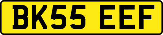 BK55EEF