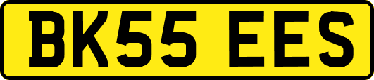 BK55EES