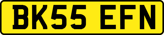 BK55EFN