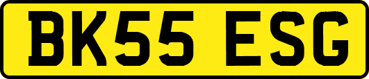 BK55ESG