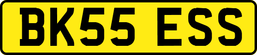 BK55ESS
